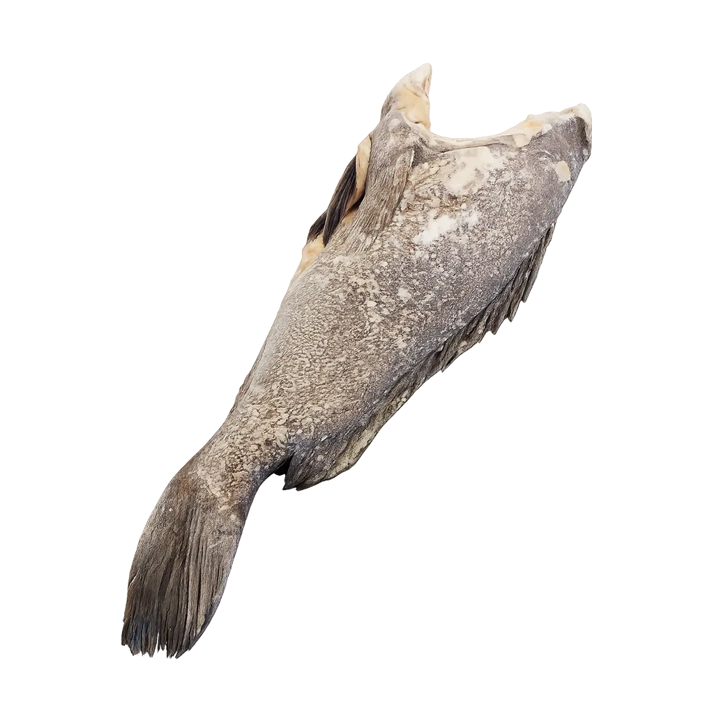 Imagen de Cherne entero sin cabeza