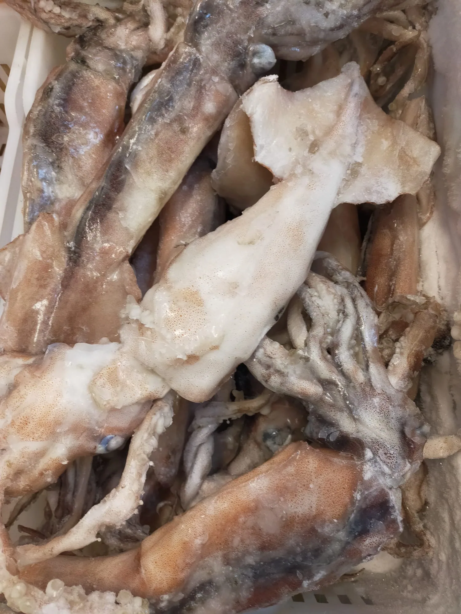 Pota entera de Nueva Zelanda