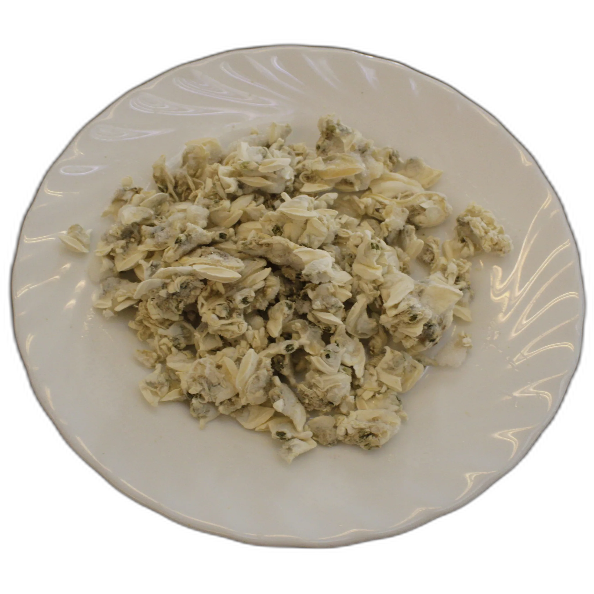 Imagen de Carne de Almeja Blanca cocida