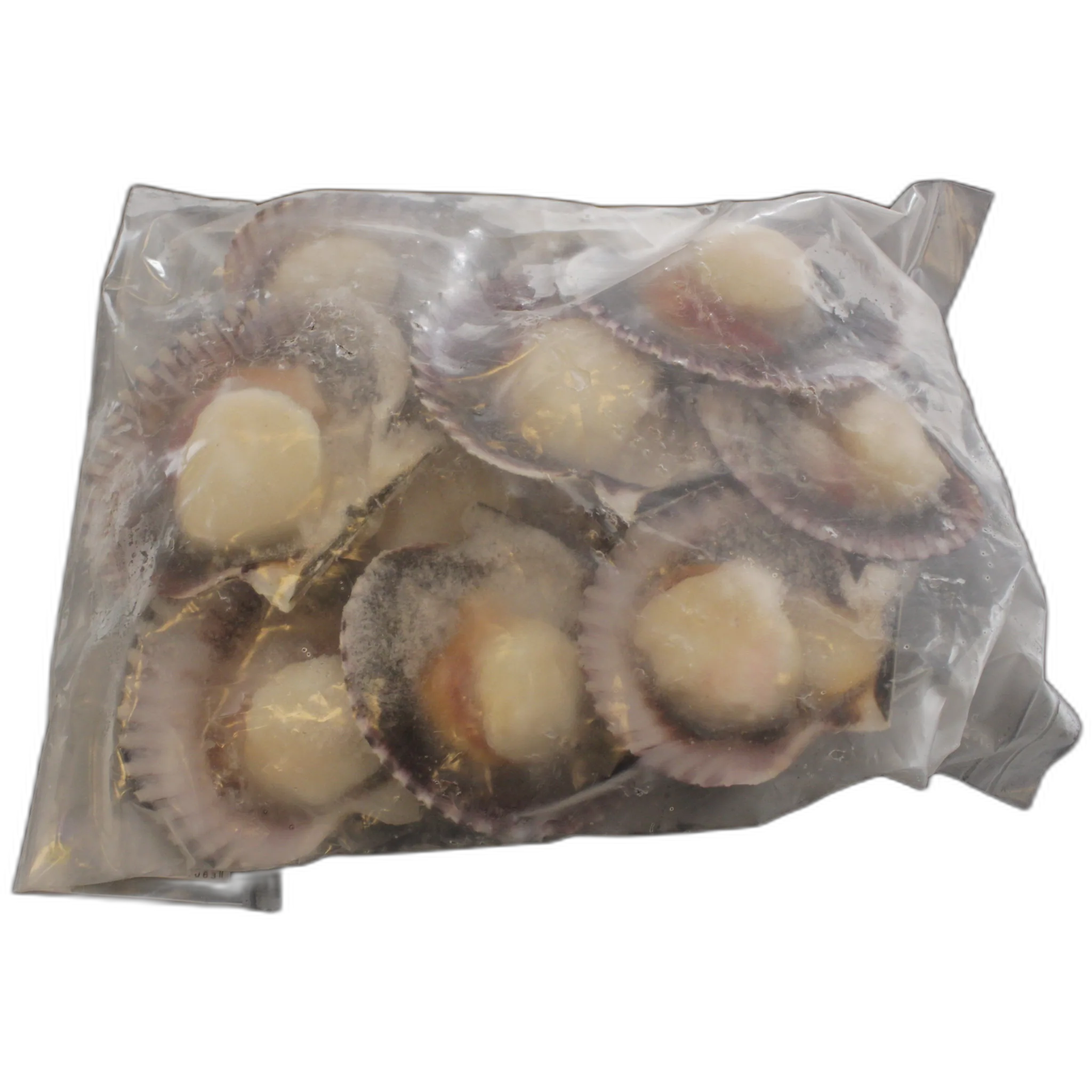 Imagen de Vieira del Pácífico media concha