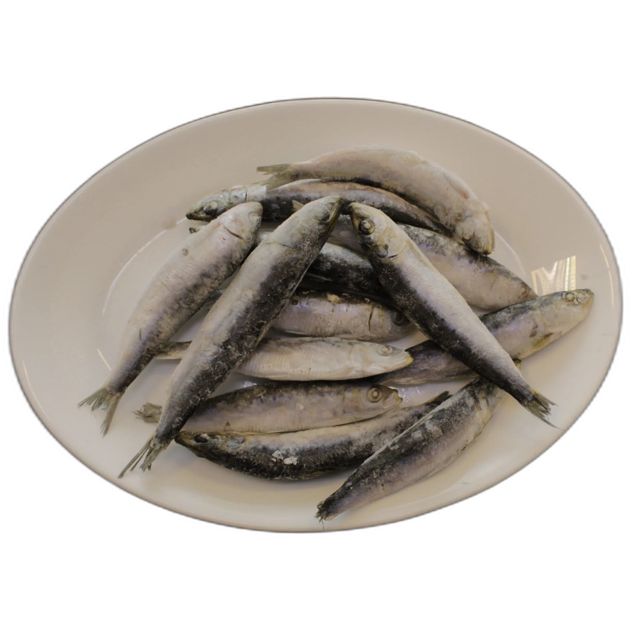 Sardinas