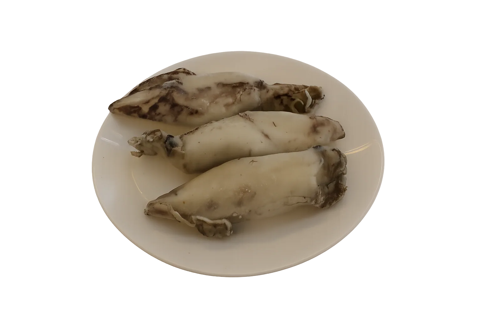 Calamar sahariano pequeño