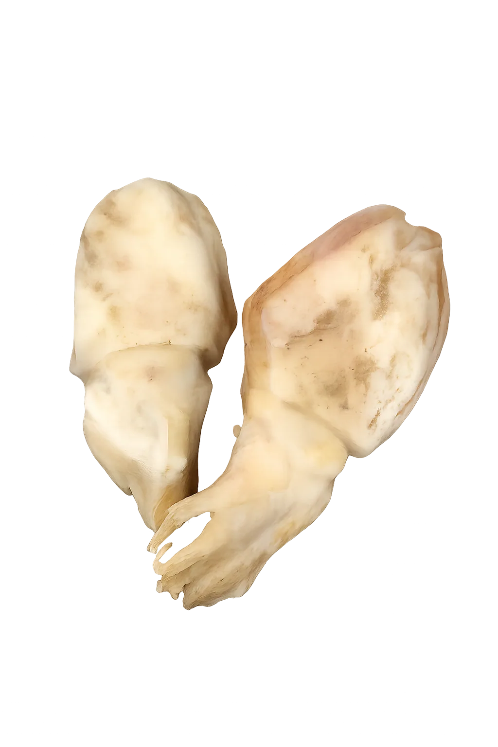 Imagen de Chocos sin limpiar