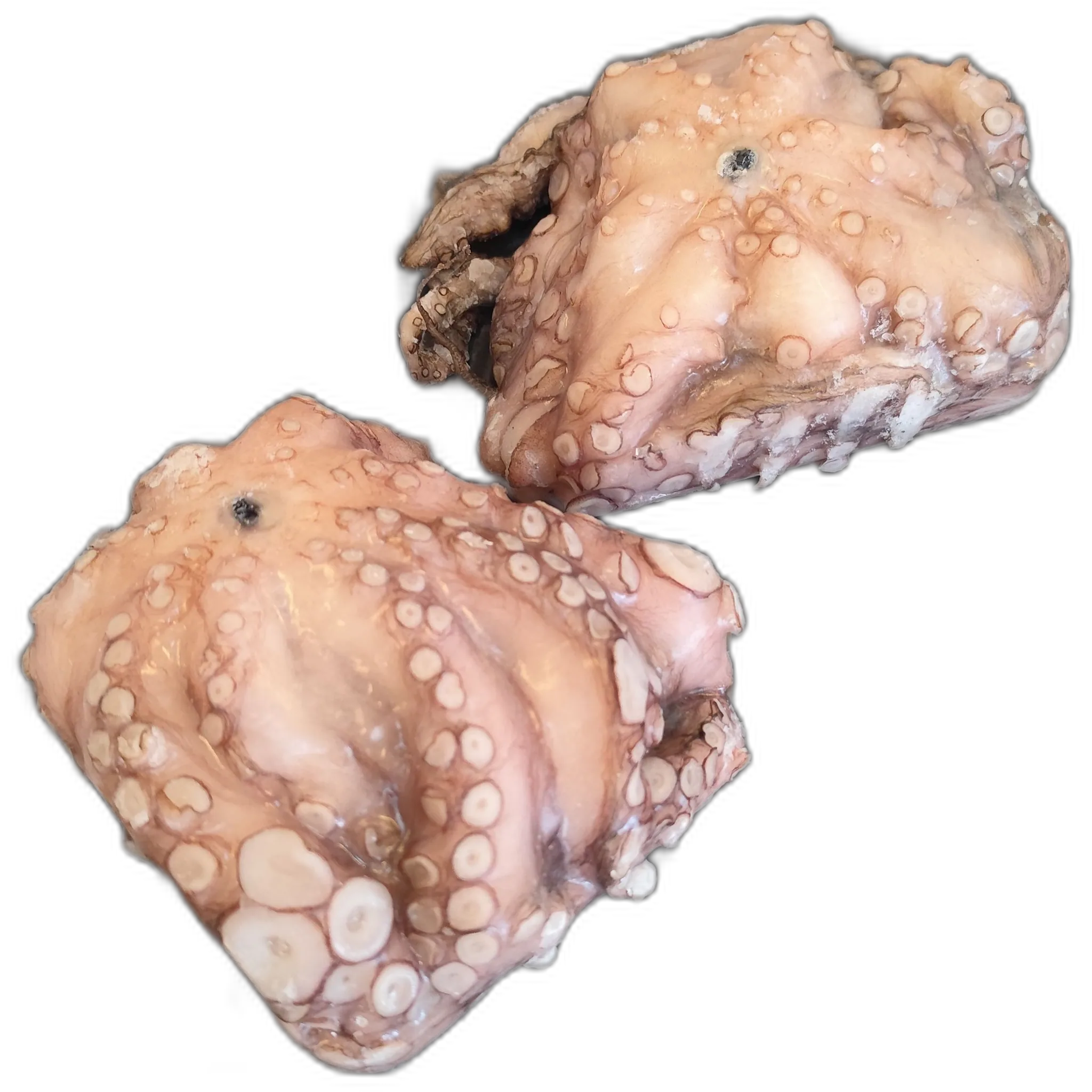 Imagen de Pulpo limpio