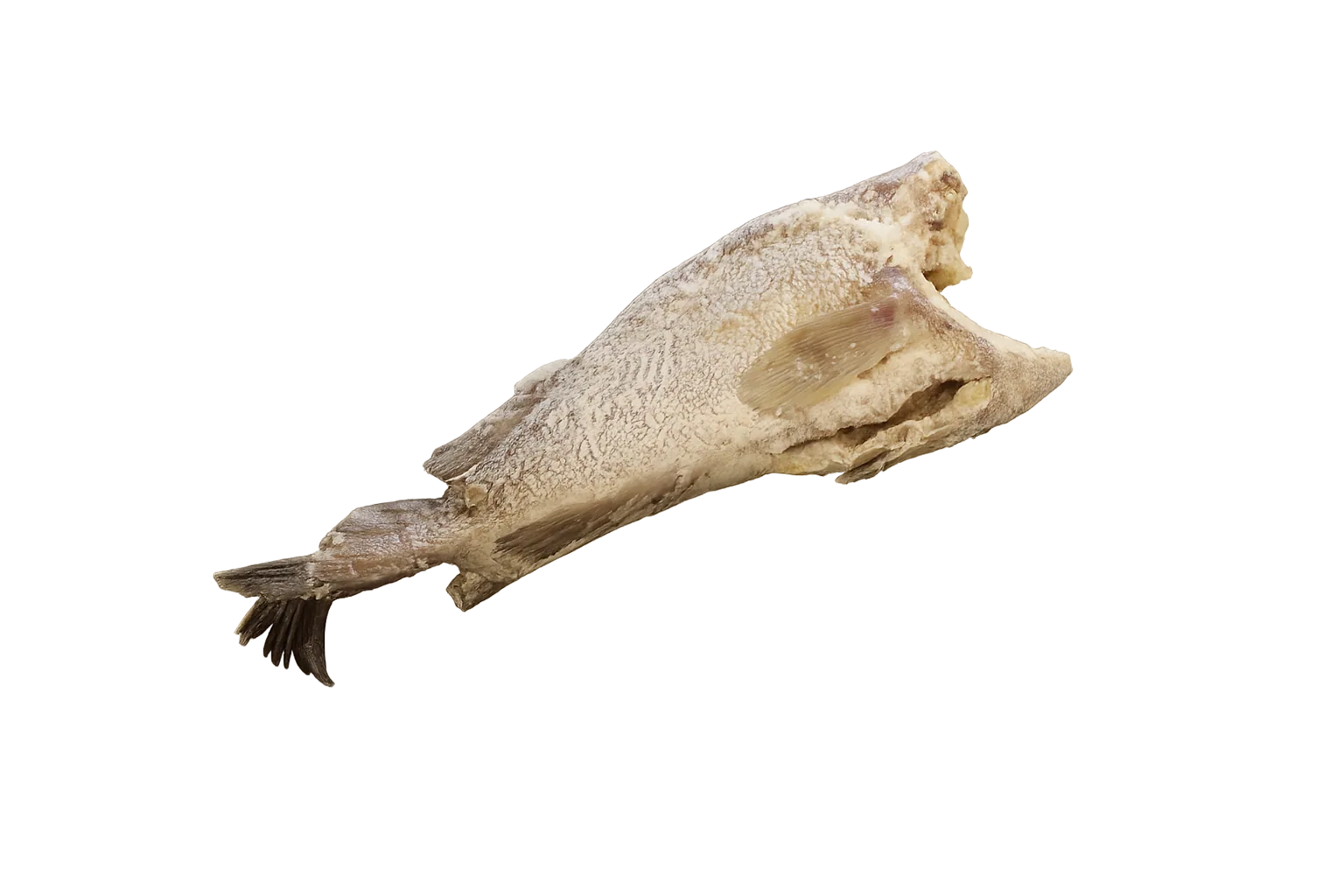 Imagen de Cherne Salado