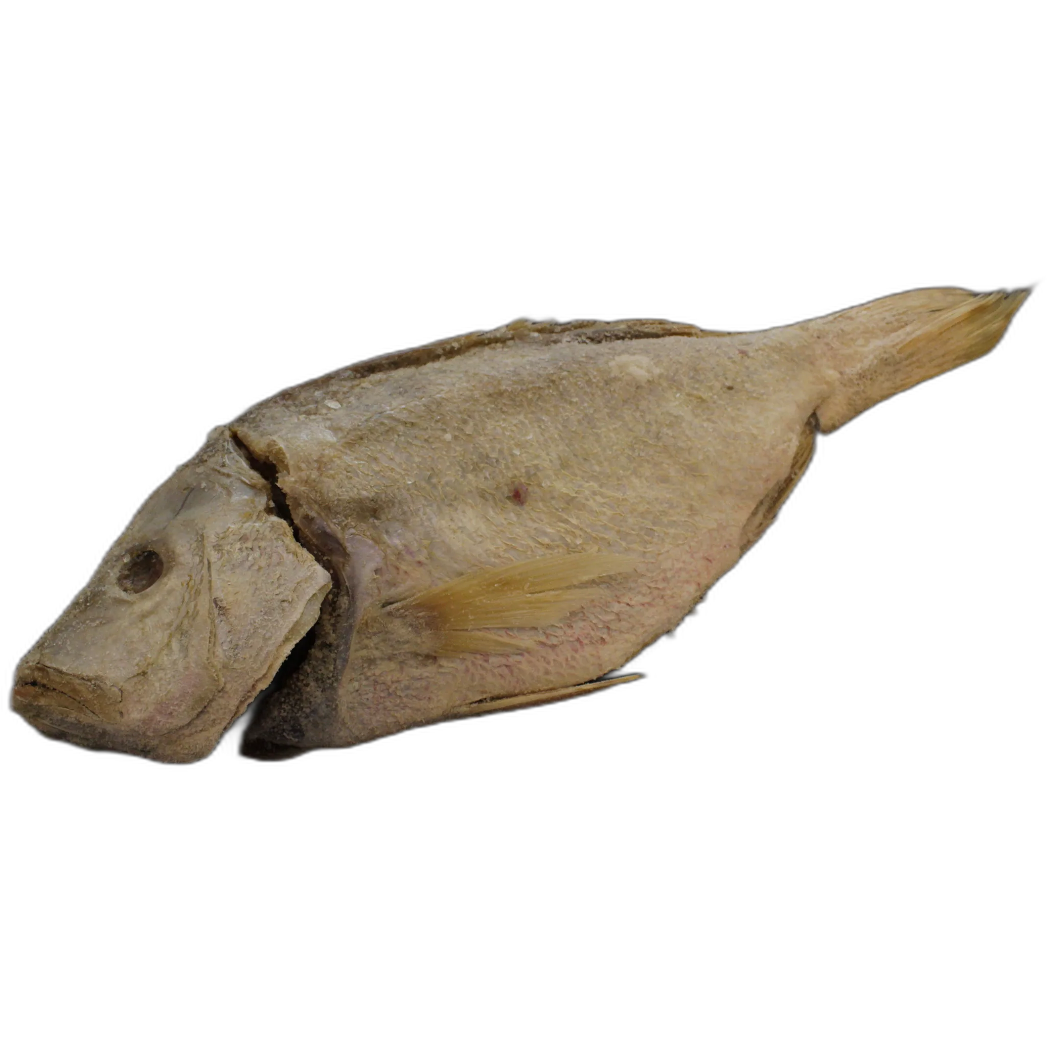 Imagen de Sama salada con cabeza