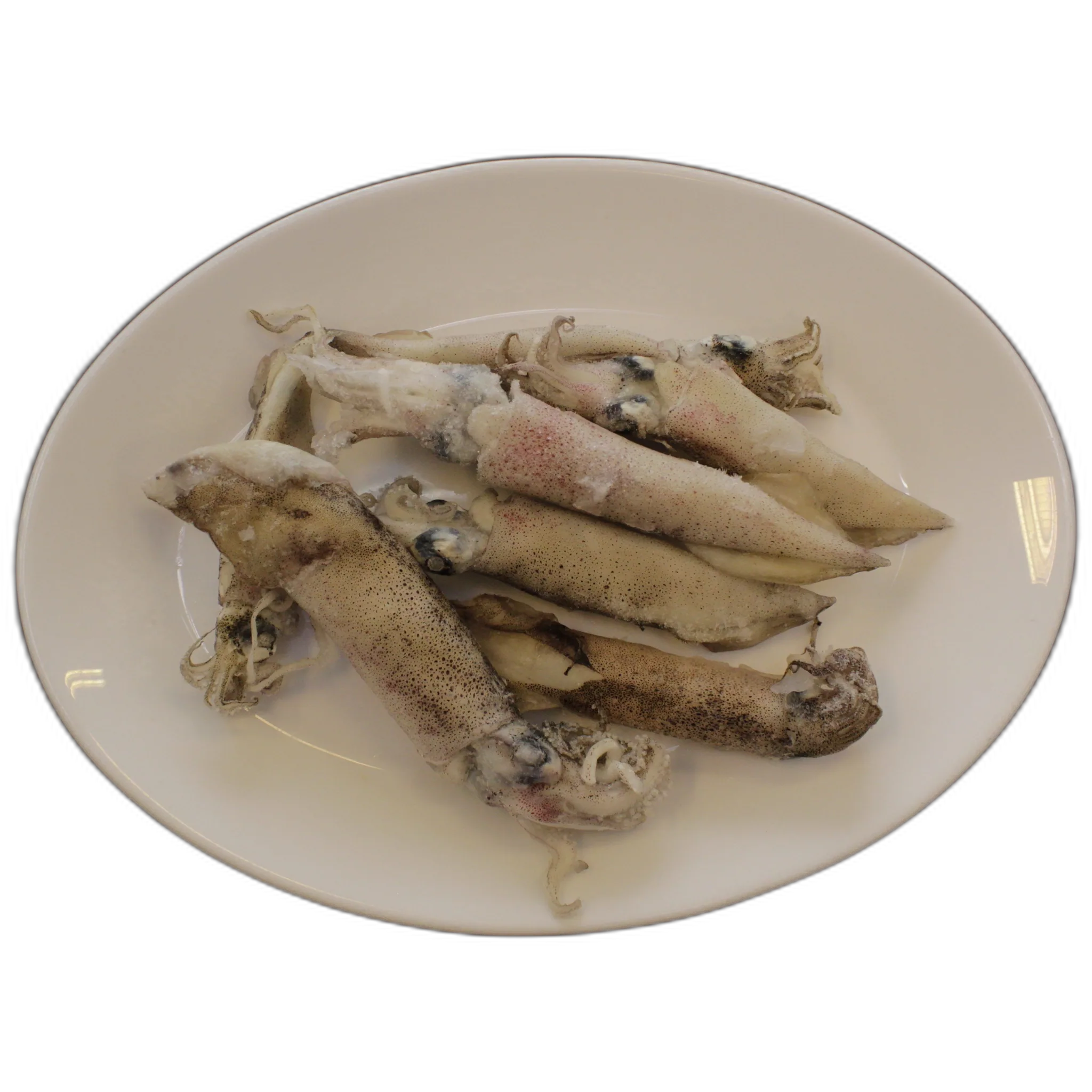 Chipirones (Calamar Patagónico)